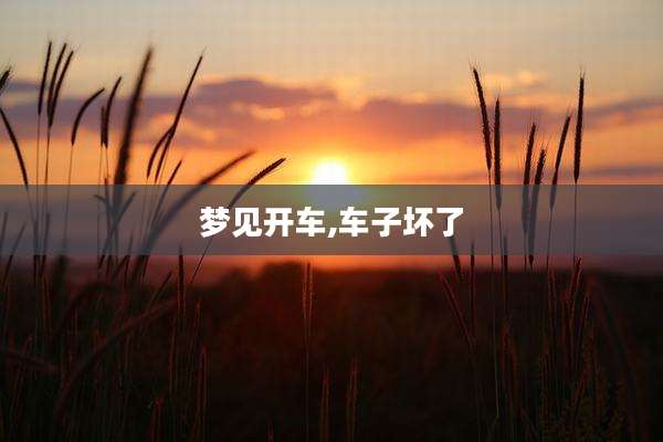 梦见开车,车子坏了
