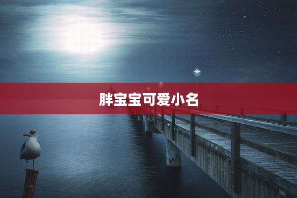 胖宝宝可爱小名