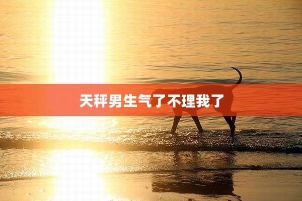 天秤男生气了不理我了