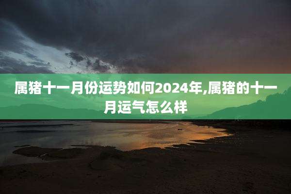 属猪十一月份运势如何2024年,属猪的十一月运气怎么样