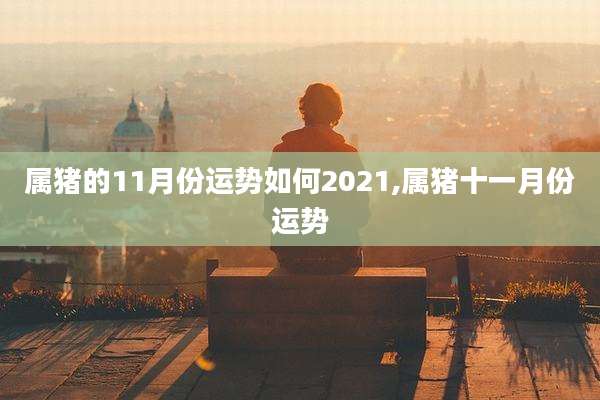 属猪的11月份运势如何2021,属猪十一月份运势