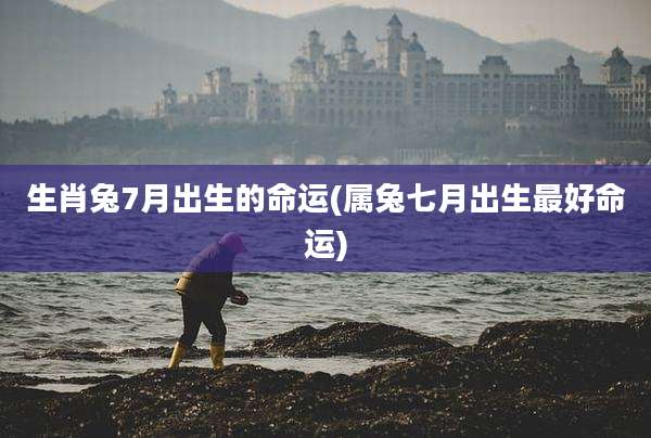 生肖兔7月出生的命运(属兔七月出生最好命运)