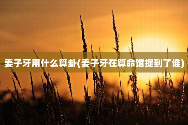 姜子牙用什么算卦(姜子牙在算命馆捉到了谁)