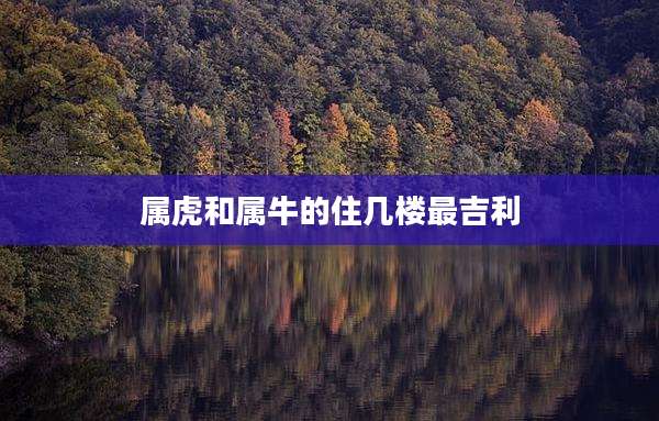 属虎和属牛的住几楼最吉利