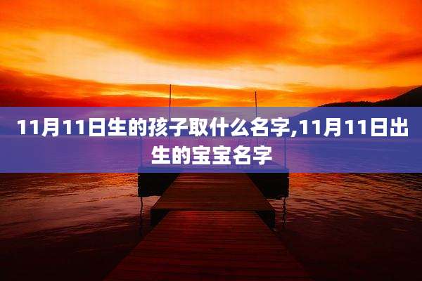 11月11日生的孩子取什么名字,11月11日出生的宝宝名字
