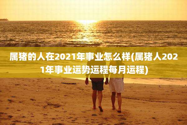 属猪的人在2021年事业怎么样(属猪人2021年事业运势运程每月运程)