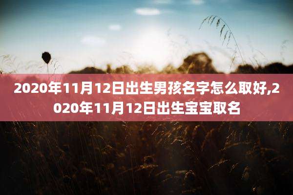 2020年11月12日出生男孩名字怎么取好,2020年11月12日出生宝宝取名