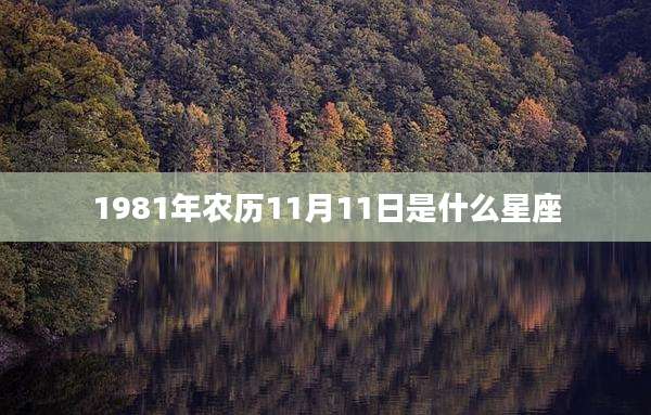 1981年农历11月11日是什么星座
