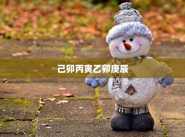 己卯丙寅乙卯庚辰