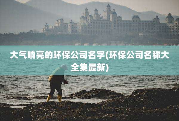 大气响亮的环保公司名字(环保公司名称大全集最新)