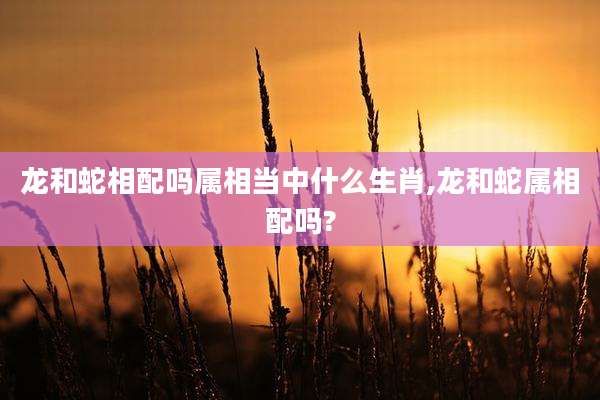 龙和蛇相配吗属相当中什么生肖,龙和蛇属相配吗?