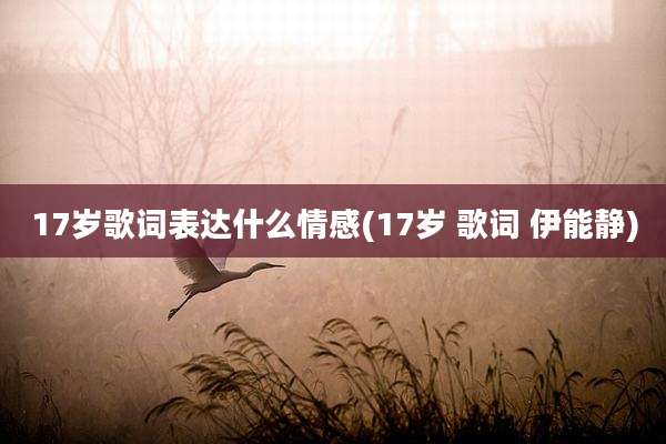 17岁歌词表达什么情感(17岁 歌词 伊能静)