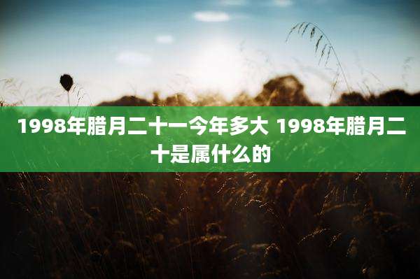 1998年腊月二十一今年多大 1998年腊月二十是属什么的