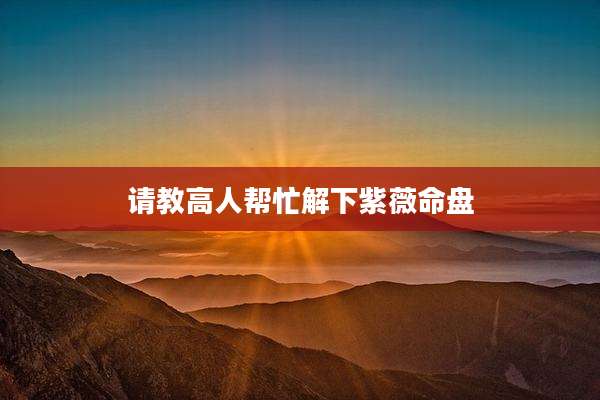 请教高人帮忙解下紫薇命盘