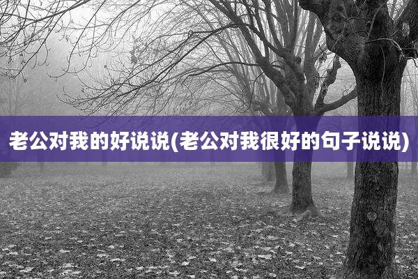老公对我的好说说(老公对我很好的句子说说)