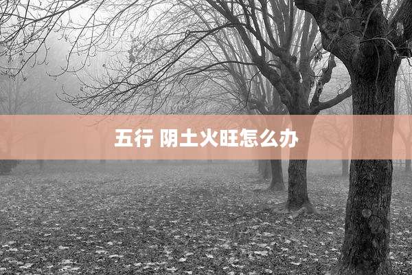 五行 阴土火旺怎么办
