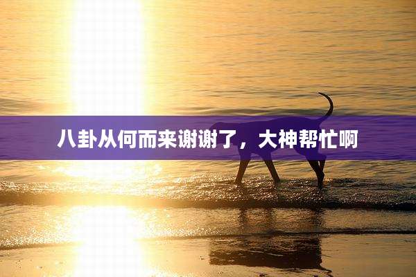 八卦从何而来谢谢了，大神帮忙啊