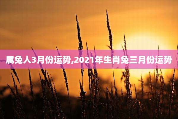 属兔人3月份运势,2021年生肖兔三月份运势