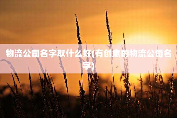 物流公司名字取什么好(有创意的物流公司名字)