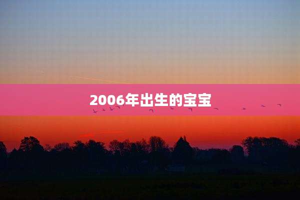 2006年出生的宝宝