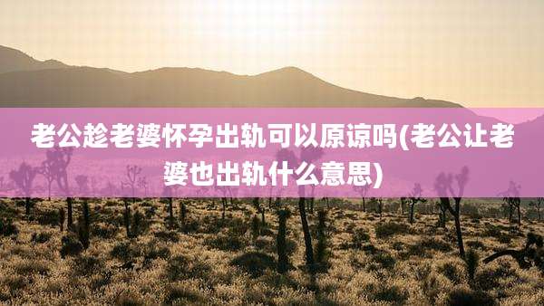 老公趁老婆怀孕出轨可以原谅吗(老公让老婆也出轨什么意思)