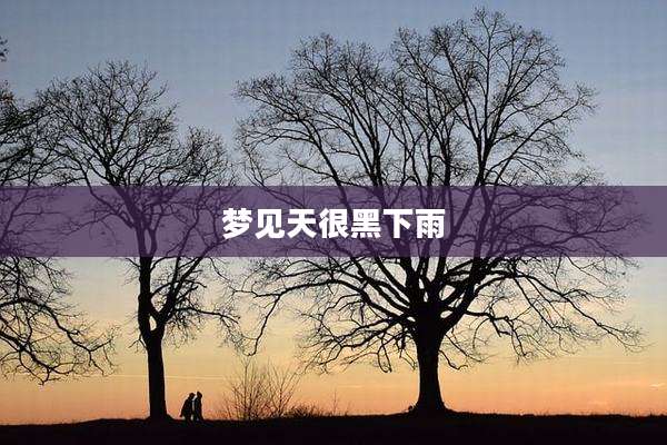 梦见天很黑下雨