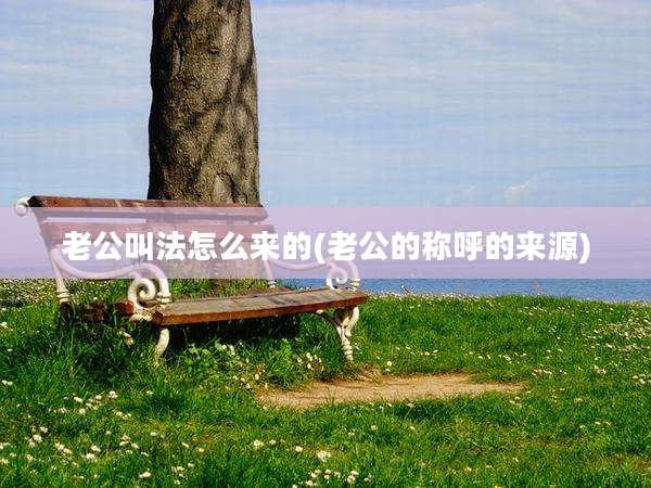 老公叫法怎么来的(老公的称呼的来源)