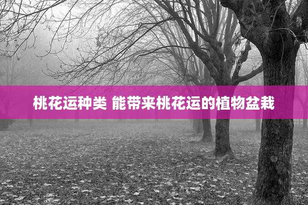 桃花运种类 能带来桃花运的植物盆栽