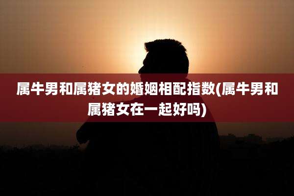 属牛男和属猪女的婚姻相配指数(属牛男和属猪女在一起好吗)