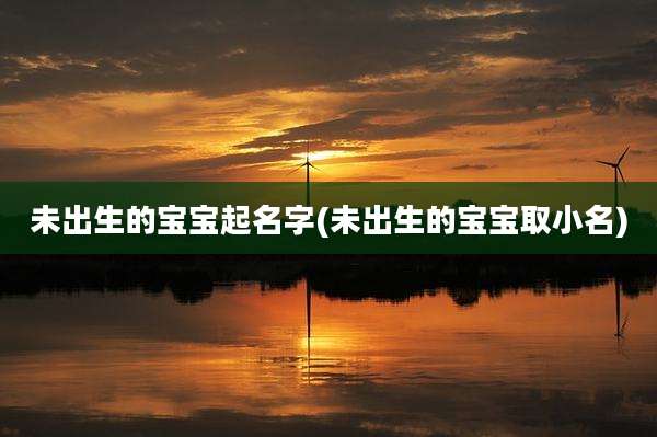 未出生的宝宝起名字(未出生的宝宝取小名)