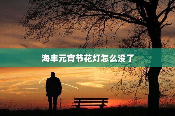 海丰元宵节花灯怎么没了
