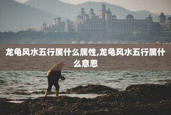 龙龟风水五行属什么属性,龙龟风水五行属什么意思