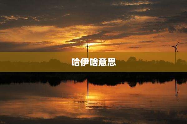 哈伊啥意思