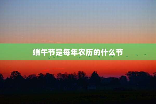 端午节是每年农历的什么节