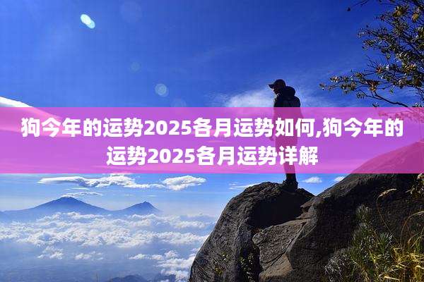 狗今年的运势2025各月运势如何,狗今年的运势2025各月运势详解