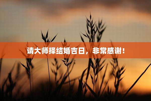 请大师择结婚吉日,非常感谢!