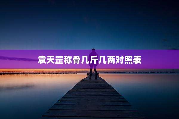 袁天罡称骨几斤几两对照表