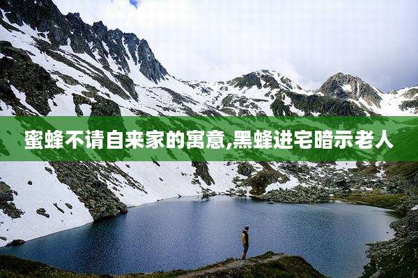 蜜蜂不请自来家的寓意,黑蜂进宅暗示老人