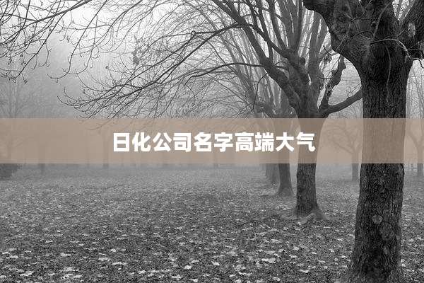 日化公司名字高端大气