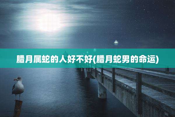 腊月属蛇的人好不好(腊月蛇男的命运)