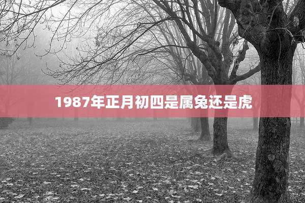 1987年正月初四是属兔还是虎