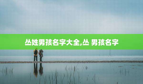 丛姓男孩名字大全,丛 男孩名字