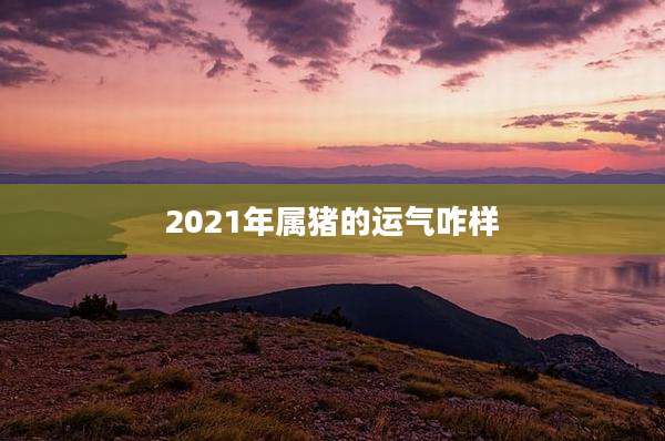 2021年属猪的运气咋样
