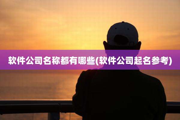 软件公司名称都有哪些(软件公司起名参考)