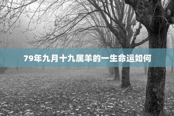 79年九月十九属羊的一生命运如何