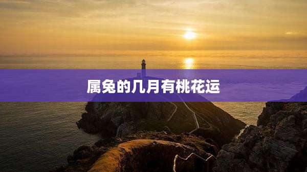 属兔的几月有桃花运
