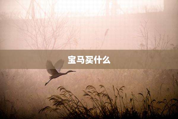 宝马买什么
