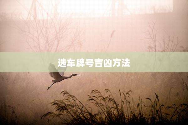选车牌号吉凶方法