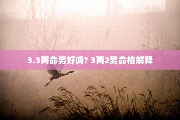 3.3两命男好吗? 3两2男命格解释