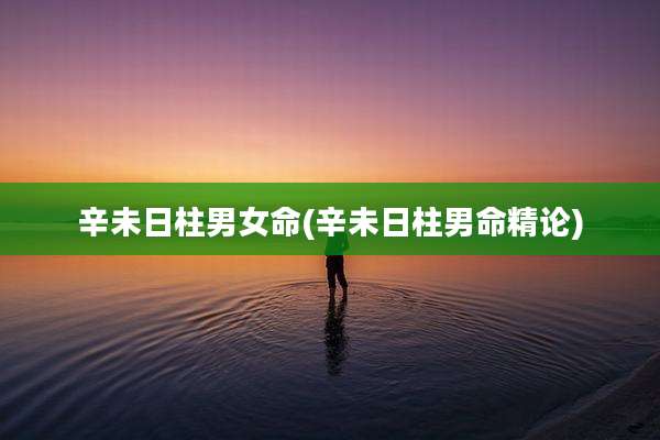 辛未日柱男女命(辛未日柱男命精论)